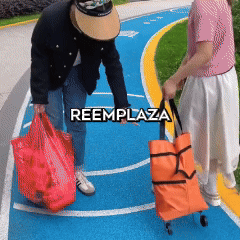 BOLSA DE MERCADO PLEGABLE